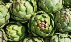 Carciofi, l&rsquo;oro verde della tavola