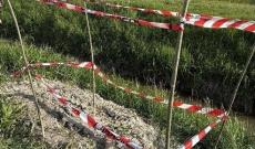 Bomba della guerra in via Crosara