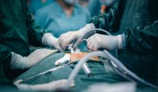 Donazioni di organi, Veneto primo in Italia