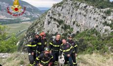 Cane bloccato su una parete, salvato dai vigili del fuoco