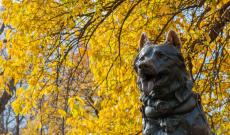 Verona, inaugurata l&rsquo;area cani dedicata a Balto e Togo
