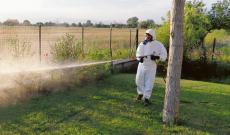 Allarme Chikungunya, nuova disinfestazione urgente
