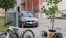 Befane in bici piantano gli alberi