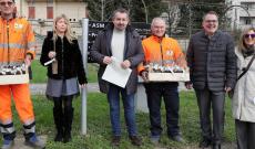 Le piante arrivano nelle case