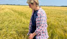 &ldquo;Soia, mais e grano: prezzi ridicoli&rdquo;