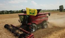 Nasce la Commissione unica nazionale sul grano duro, per una quotazione equa