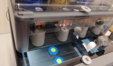 Lavoro, sguardo verso il futuro