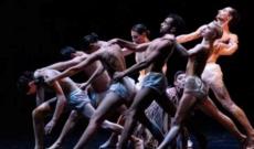 Una danza al ritmo di 4 stagioni