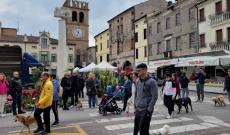 Una camminata a... sei zampe