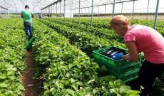 A sostegno dell&rsquo;agricoltura locale