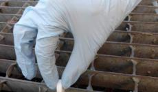 &ldquo;Ognuno deve fare la sua parte&rdquo;