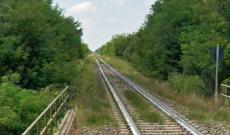 Un&rsquo;altra mattanza di alberi lungo la ferrovia per Verona