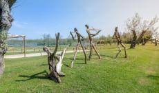 Il legno qui diventa opera d&rsquo;arte