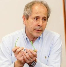 "La discesa dei casi si &egrave; fermata. Qualcosa non sta funzionando. Ho forti timori per l&rsquo;autunno&rdquo;