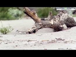Viaggio con il Wwf tra le meraviglie del Delta