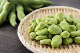 Le fave: i legumi light della primavera