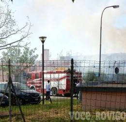 Incendio alla siepe dell'istituto alberghiero