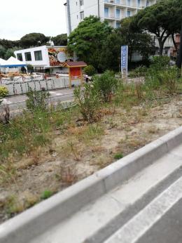 Le spiagge di Rosolina Mare tra sporcizia e degrado