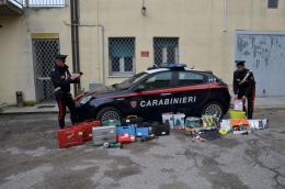 Refurtiva in cerca dei padroni: l'appello dei carabinieri