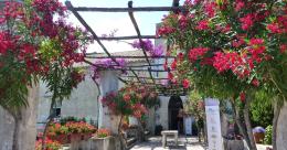 I "giardini dell'anima", una terrazza di fiori affacciata sul mare