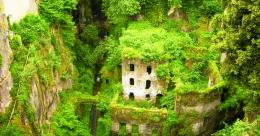 Rovine abbandonate, la nuova inquilina è Madre Natura