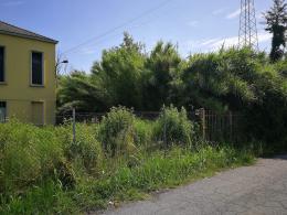 Ancora degrado in via Piave