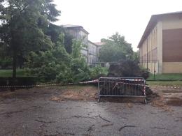 Vento,  grandine, alberi caduti e tanti disagi