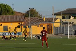 Nuovi innesti per il Porto Viro