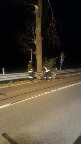 Il vento spezza un grosso ramo in via Amendola
