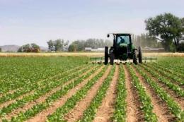 "I voucher agricoltura? Sono dannosi per la dignità  dei lavoratori agricoli polesani" 