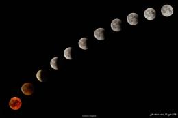 Magica eclissi, ecco le foto più belle!