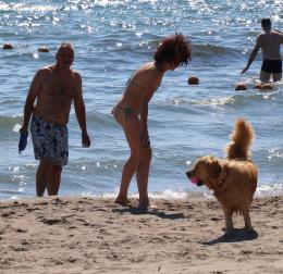 Coccole a quattro zampe