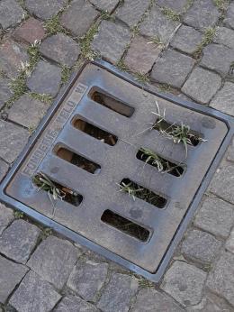 Tombini ostruiti: “Adottane uno”