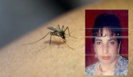 Mamma di 5 figli muore di West Nile: primo caso in Polesine