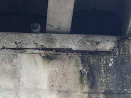Ponte di Cavanella, foto da brividi