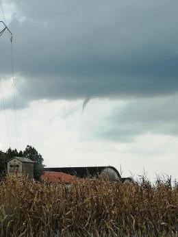 Pomeriggio di paura sui cieli di Rovigo: a  Concadirame la tromba d'aria non tocca terra