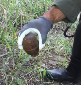 Residuato bellico vicino all'Adige, fatto brillare