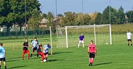 Frassinelle inciampa in casa