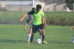 Altopolesine a un passo dalla vetta