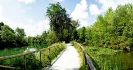 Lungo il fiume Sile, a caccia di mulini e cimiteri di barche