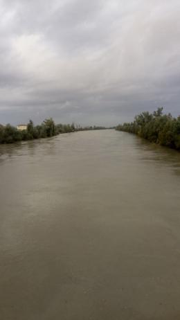 Nuovo allarme salmonella nell'Adige