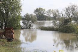 Arriva la piena: adesso è davvero allerta