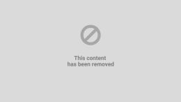 Guerra ai piccioni, saranno catturati
