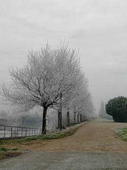 Mattinata glaciale in tutto il Polesine