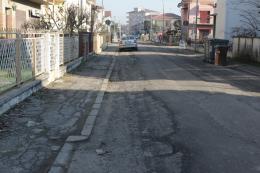 Via Bernini, una strada da safari