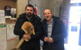 Polesella offre "asilo politico" al gatto Rossini