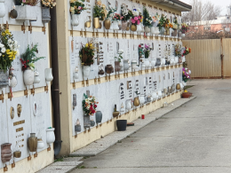 Furti di fiori al cimitero