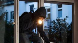 Ladri in azione, picchiato un cane