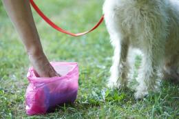 Basta "ricordini" dei cani in centro
