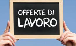 Offerte a Rovigo